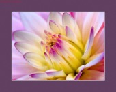 Hypoglycemia image drugs images