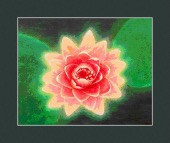 aranesp image drugs images