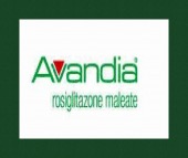 avandia image drugs images