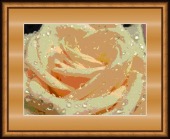 diaphoresis image healthtips images