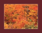 fall image healthtips images