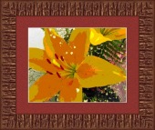 osteonecrosis image healthtips images