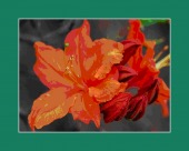 psychosis image healthtips images