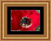 tyramine image healthtips images